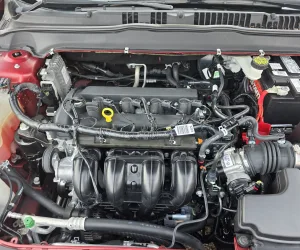 inbound1298566377600341317