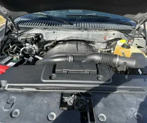 inbound3261439513173343116