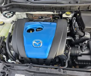 inbound3983769447683623968