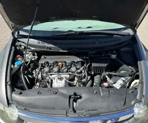 inbound4142617654293781780