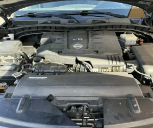 inbound5528292190594898583