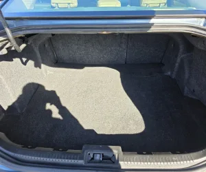 inbound5971260593120518365