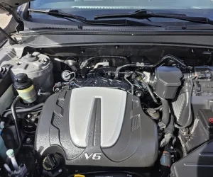 inbound6326379814142627550