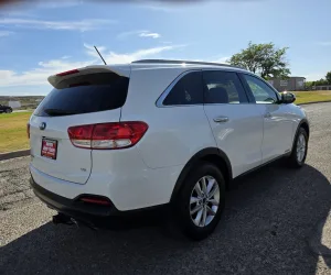 inbound6635219045825597107