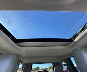 inbound6866728249395153431