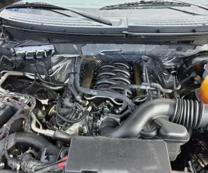 inbound7111416188767260864