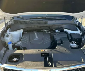 inbound7513236553279359502