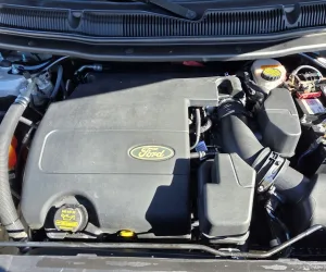 inbound7696266653206057855