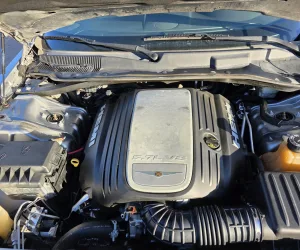 inbound7717434255189920924