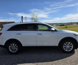 inbound8164930872114499513