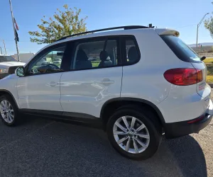 inbound8349256047003842992