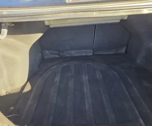 inbound8711019336216589955