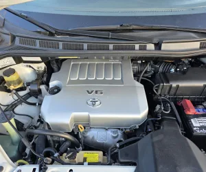 inbound8889026885520162465